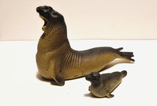 See-Elefant und Seehund